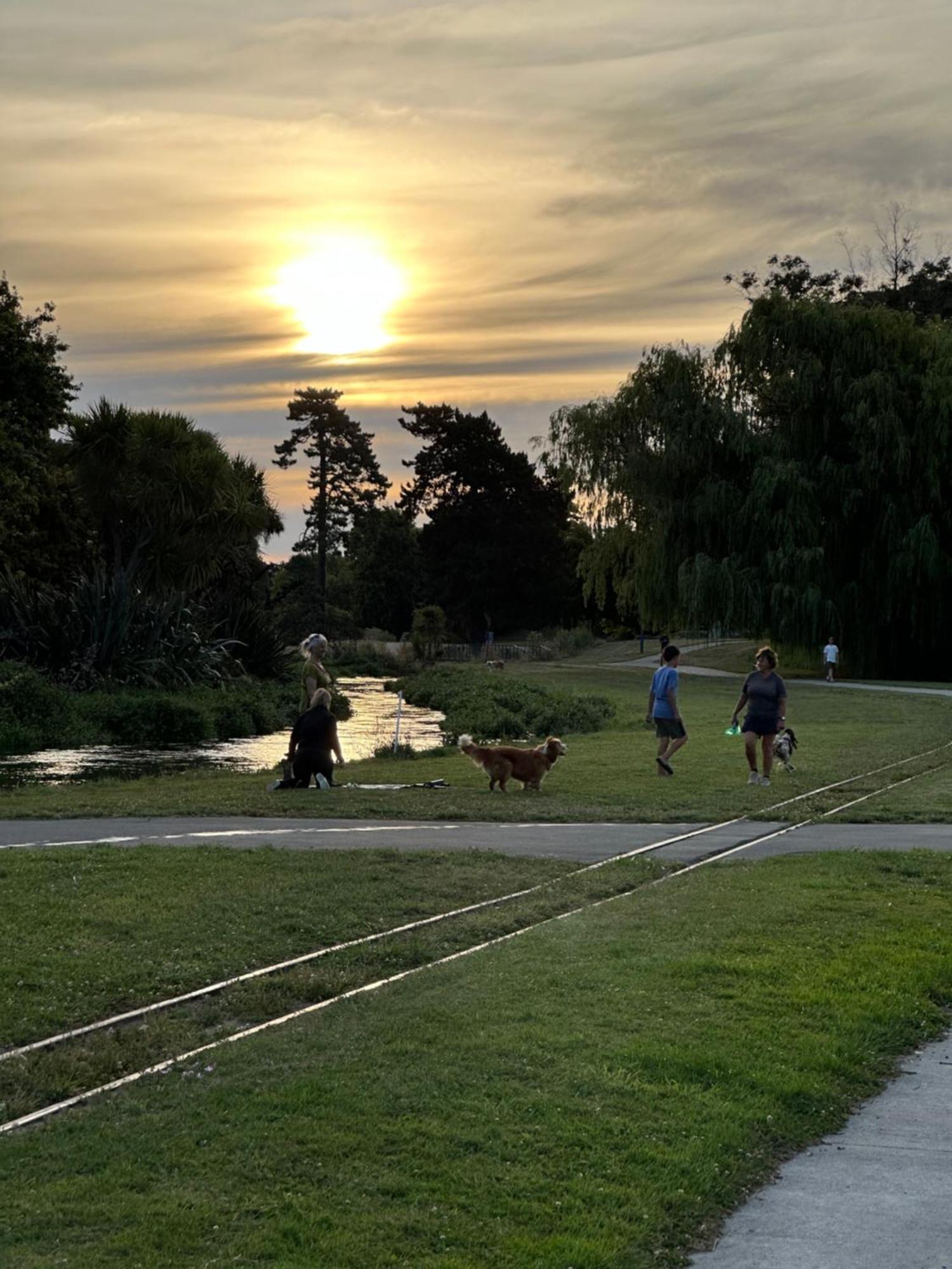 River Cottage Blenheim Bagian luar foto